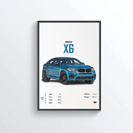 BMW X6 2014 colored